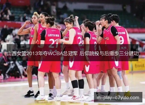 山西女篮2013年夺WCBA总冠军 后仰跳投与后撤步三分建功 山西女篮2013年夺WCBA总冠军 后仰跳投与后撤步三分建功